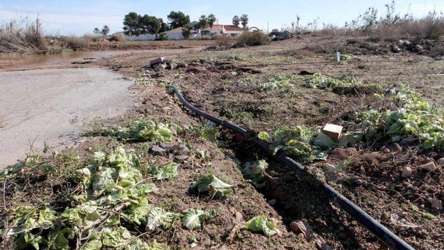 CHS estudia si declara en riesgo químico el acuífero del Campo de Cartagena