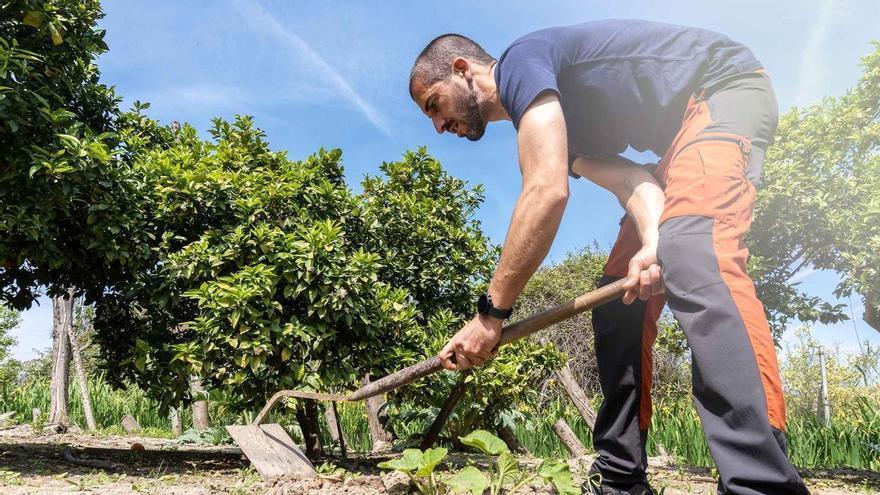 Cajamar adelanta las ayudas de la PAC para ofrecer liquidez al sector agroalimentario