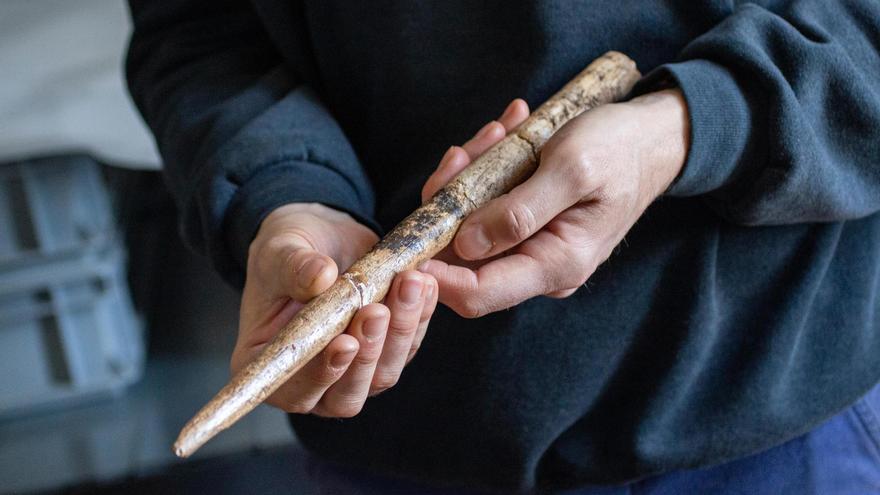 Los humanos ya fabricaban herramientas con huesos de ballena hace 20.000 años.