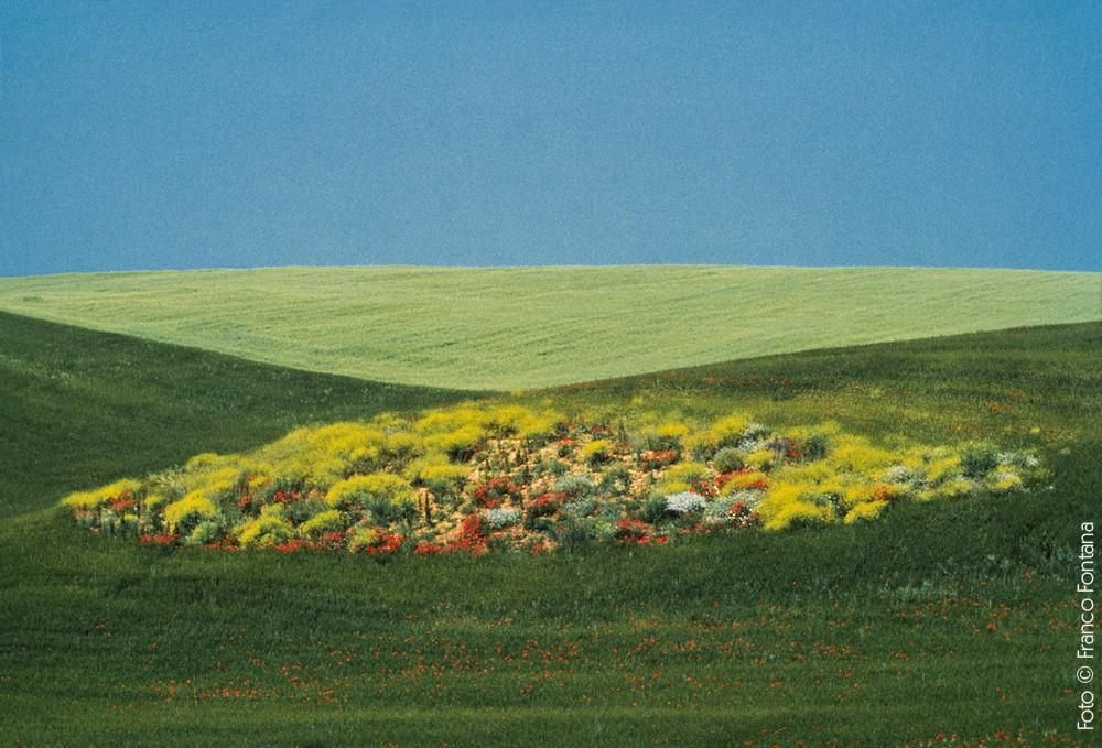 Franco Fontana