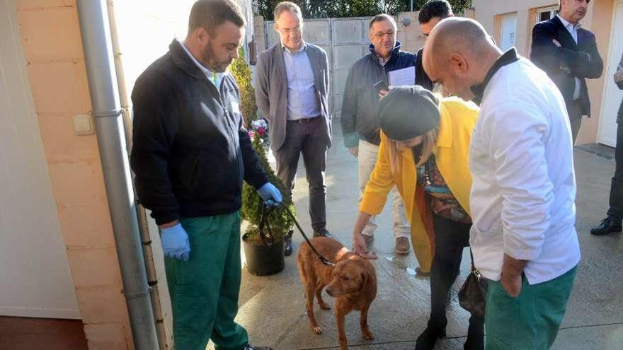 La presidenta de la Diputación, Carmela Silva, acaricia uno de los perros del CAAN de Meis. // Noé Parga