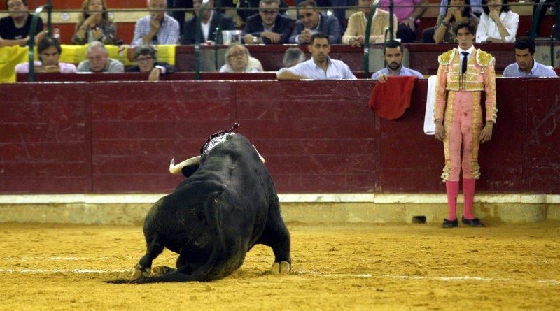 Novillada en la plaza de Toros