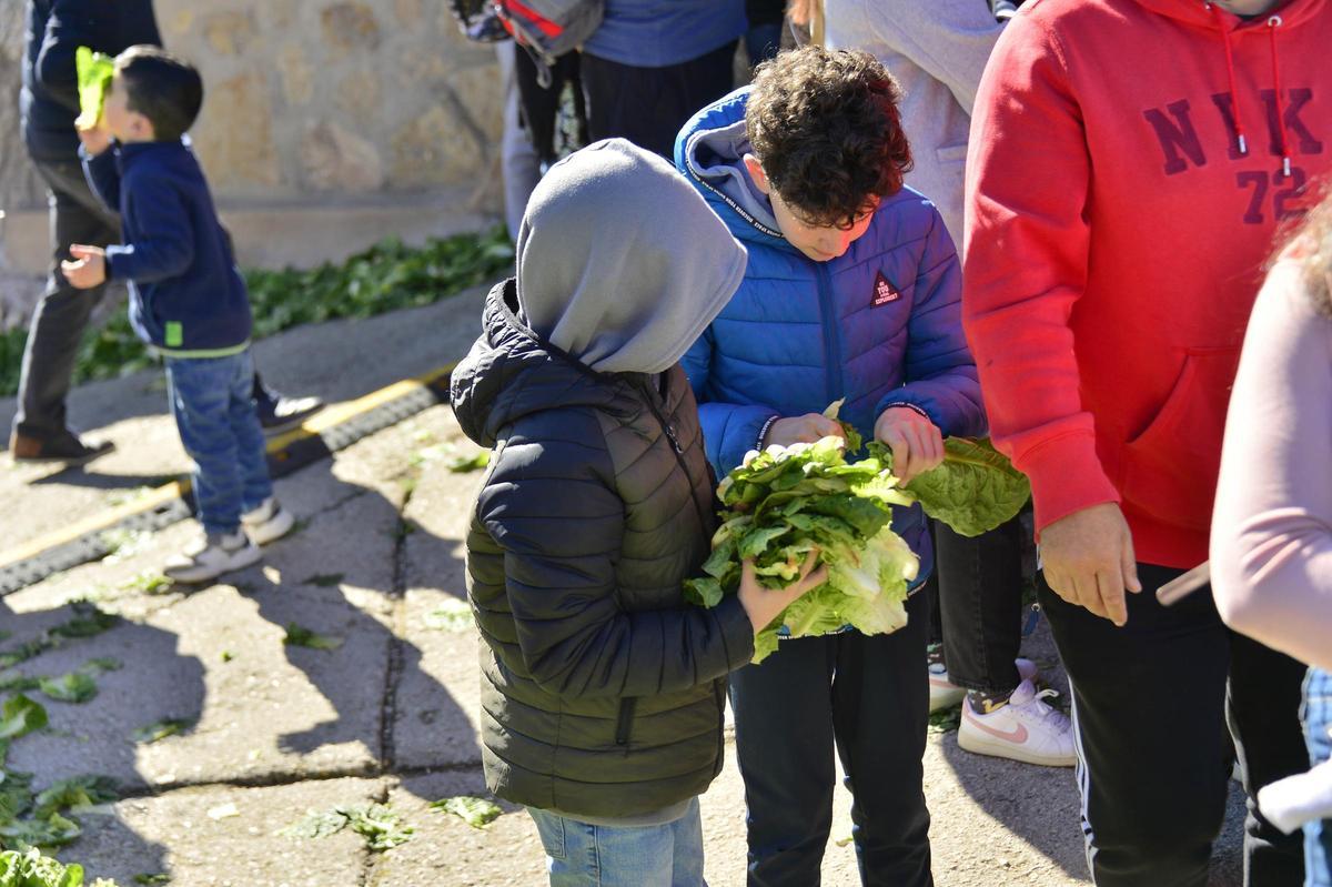 Lechugas al cielo para una batalla campal en Villena