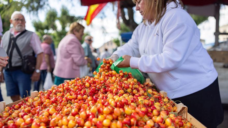 As cereixas atraen a centos de persoas a Paiosaco