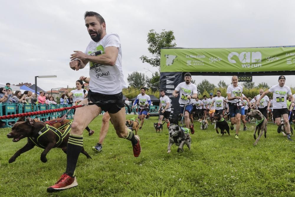 "Can We Run": Deporte, perros y solidaridad toman Gijón