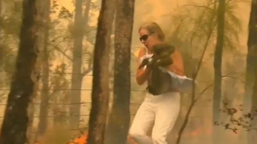 Toni Doherty, veïna de Port Macquarie, quan va salvar el coala de les flames