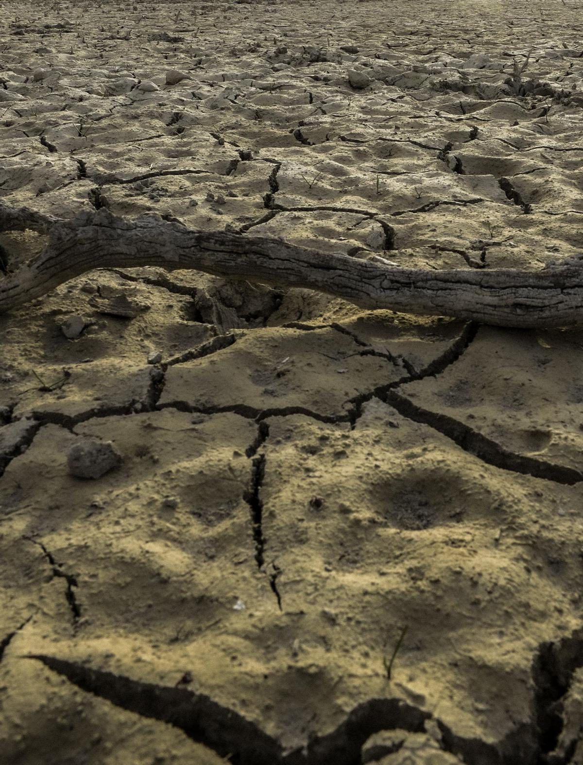 La Aemet ha alertado de que el suelo está extremadamente seco en la franaja Mediterránea por la falta de lluvia.