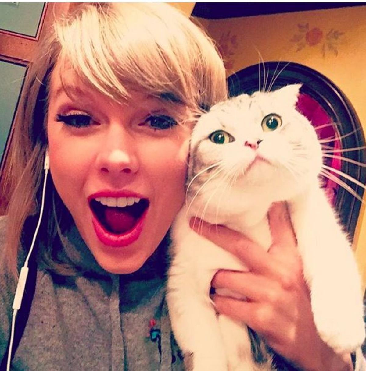 4. Taylor Swift posa con su gato