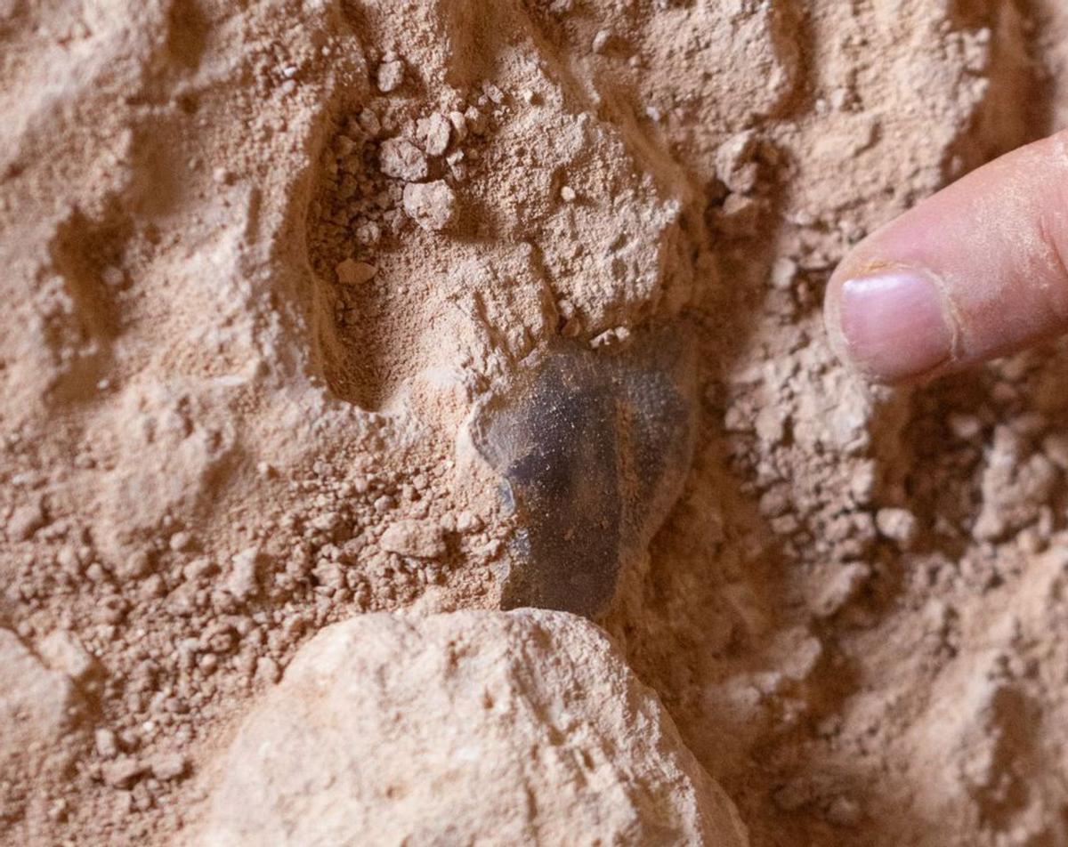 La huella de la Historia