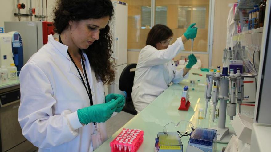 Elisabete Fernandes y Ana Vila trabajan en el Laboratorio Ibérico de Nanotecnología (INL), en Braga.