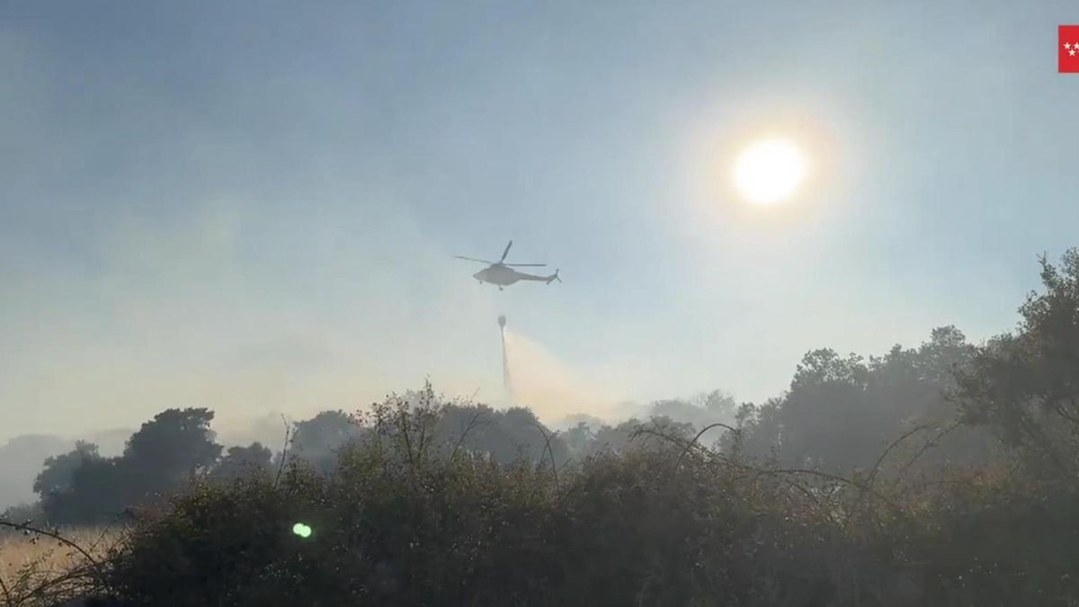 Un incendio forestal en Zarzajelo (Madrid) obliga a desalojar una urbanización y a cortar la M-532.