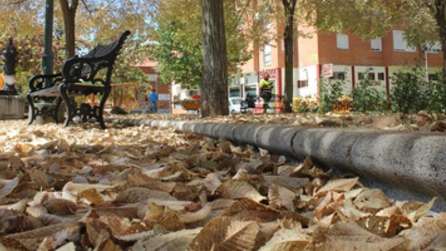 Exigen que se actúe contra la plaga de gusanos en un parque de Valdepasillas