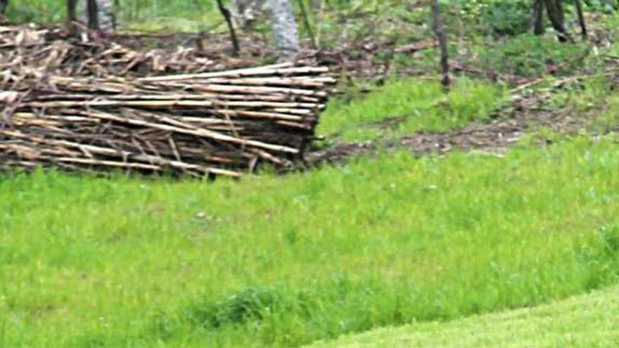 Una mujer trabaja en el campo. // Santos Álvarez