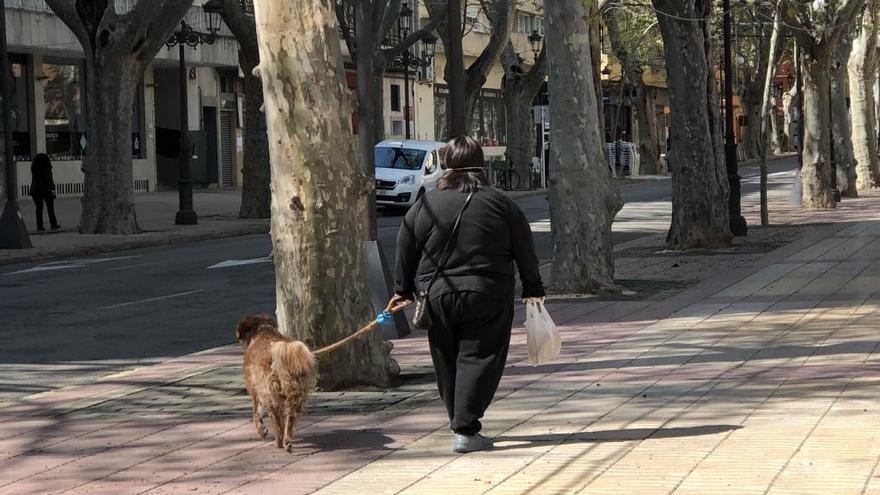 Vecina de Xàtiva pasea a su perro