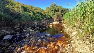 La Fiscalía denuncia en un juzgado vertidos contaminantes a un arroyo en Casares