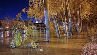 Aragón estudia el desalojo de dos localidades por la crecida del Ebro
