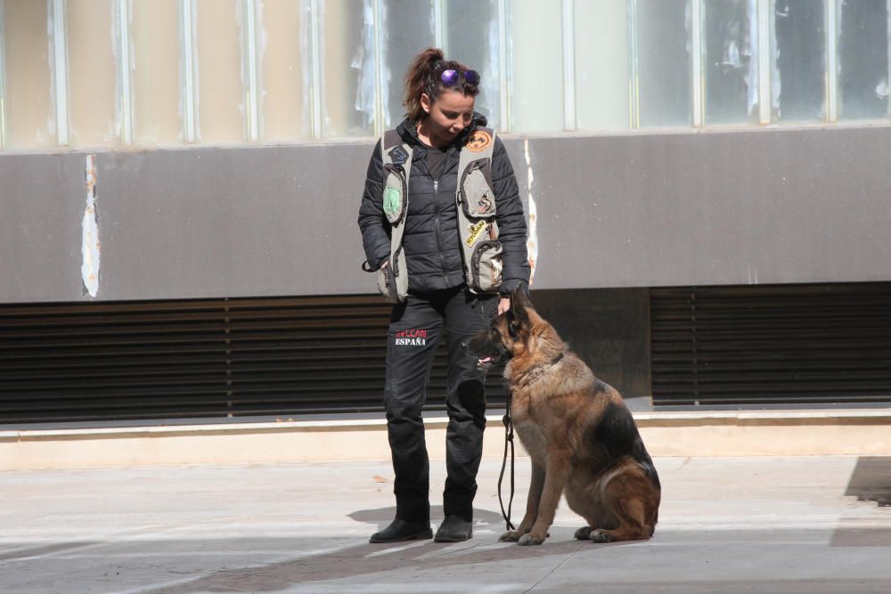 Exhibición canina en la Asamblea regional