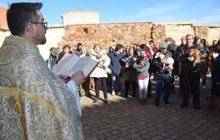 Las mascotas celebran San Antón en Benavente