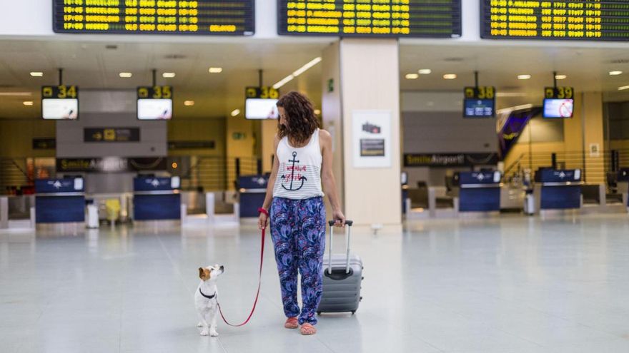 Solidaridad de altura para contribuir a la adopción de mascotas: «Busco padrino o madrina de vuelo de Málaga a Santiago»