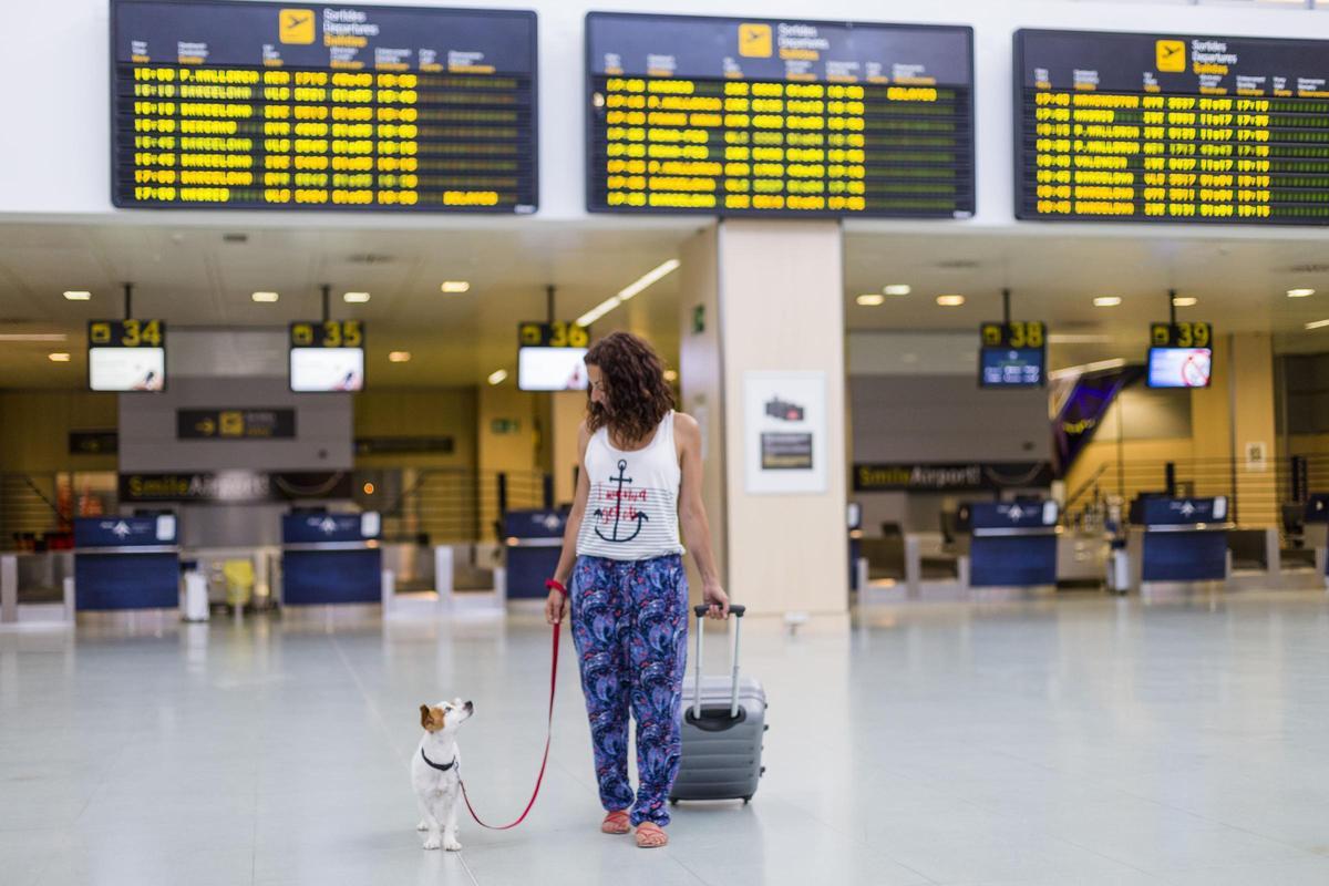 Ser madrina o padrino de vuelo de una mascota es una manera de contribuir a las adopciones.