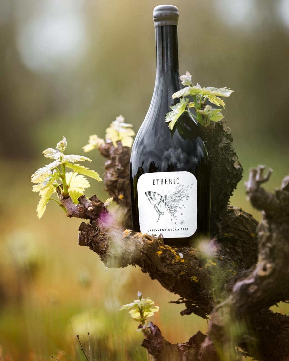 El vi Ethèric carinyena negra 2021.