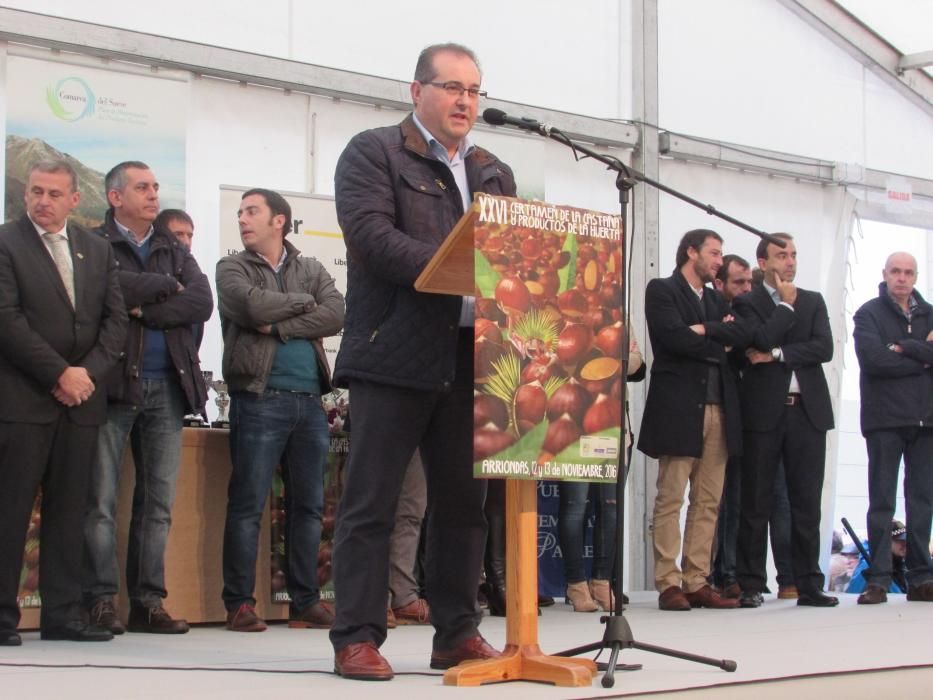 Certamen de la castaña en Arriondas