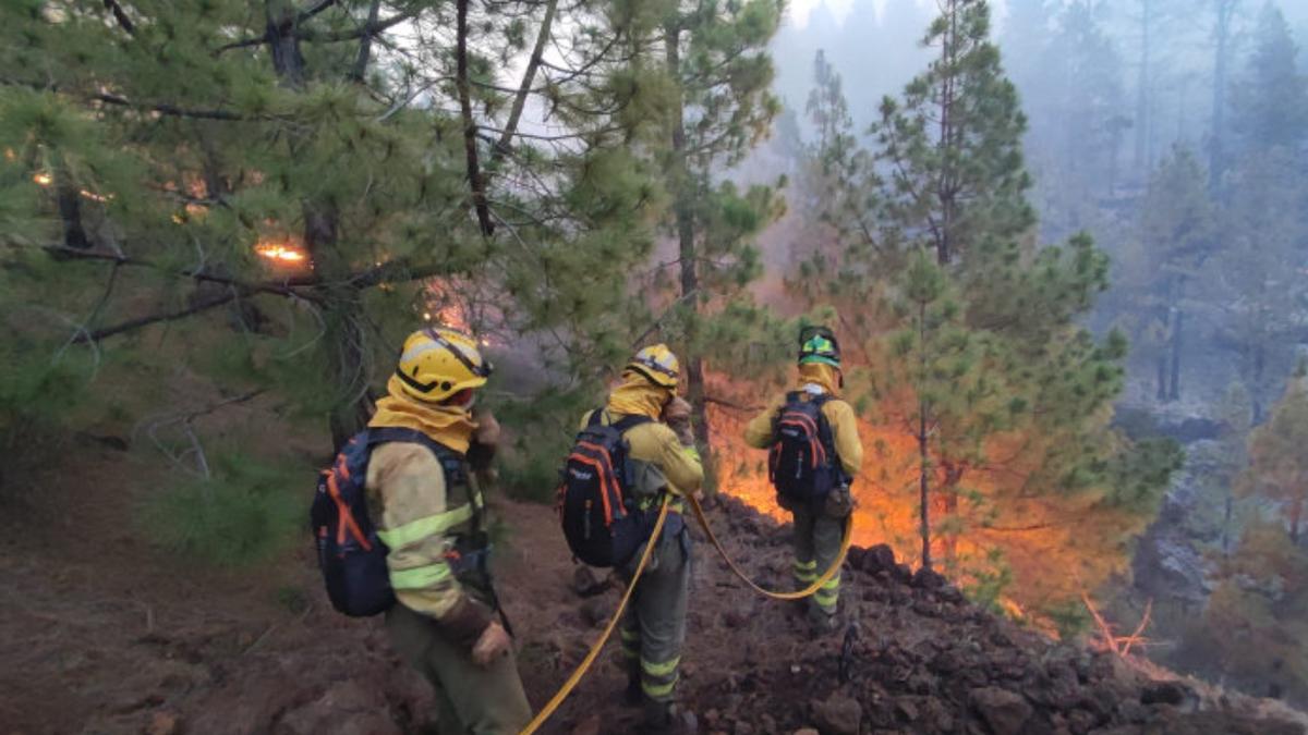 Estabilizado el incendio de La Palma que ha quemado 2.900 hectáreas