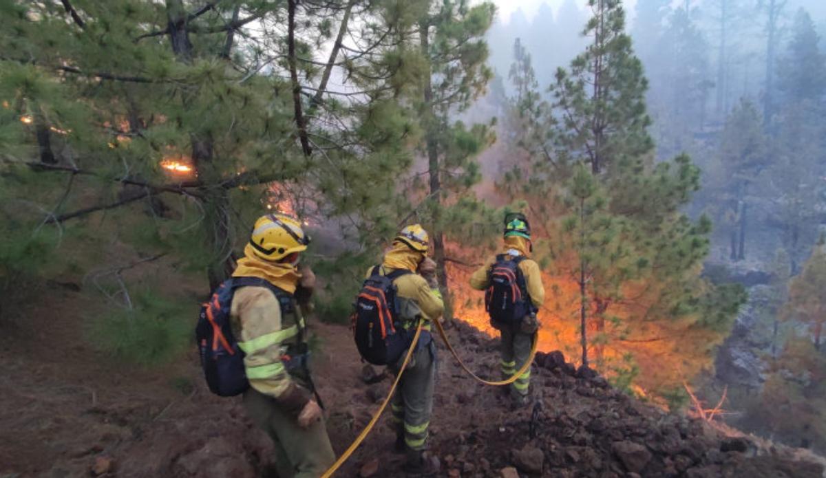 Estabilizado el incendio de La Palma que ha quemado 2.900 hectáreas