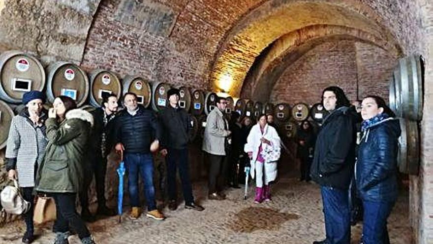 Visita guiada a una bodega histórica de Toro.