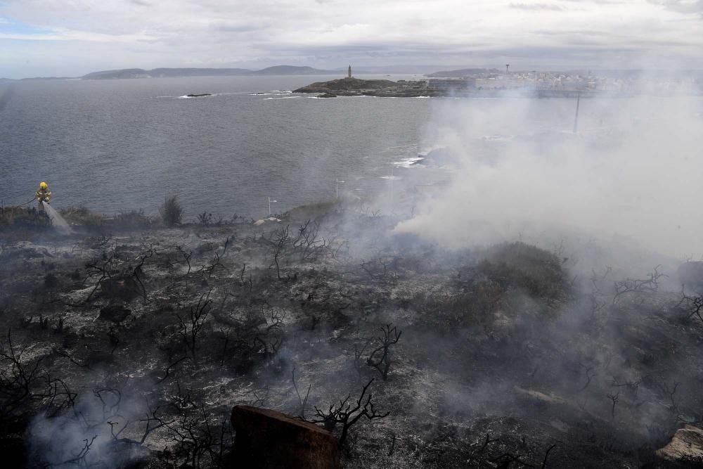 Incendio forestal en Os Rosales