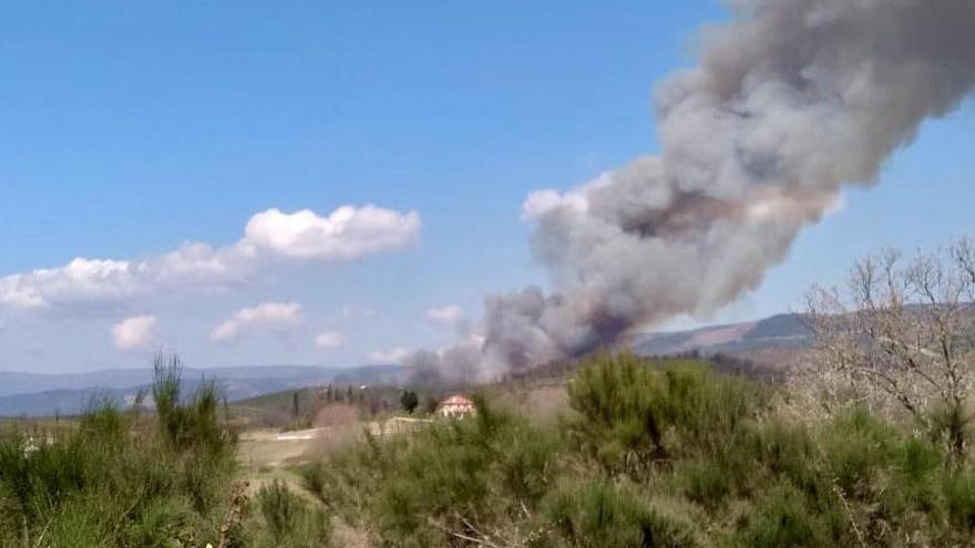 Un incendio arrasa 60 hectáreas en menos de tres horas en Verín