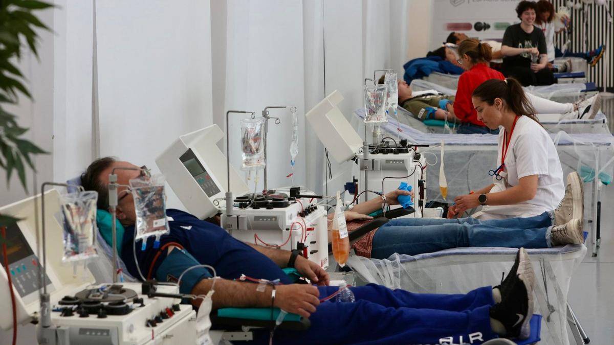 Donación de plasma hace unos días en el Espacio Séneca de Alicante