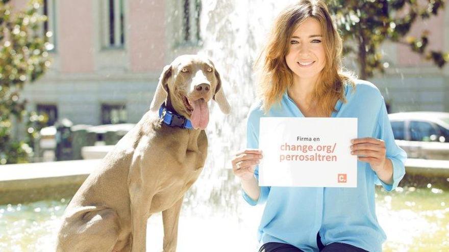 Sandra lidera la campaña: &quot;Perros al tren&quot;