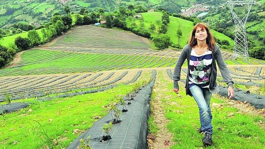 Lorena Sariego, en la plantación de arándanos de Fresneo, en Riosa.