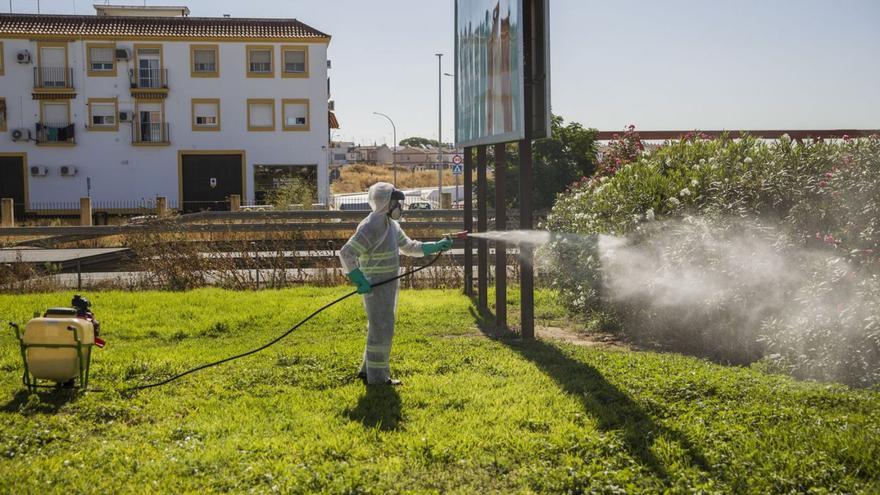 Labores de fumigación contra el Virus del Nilo en una localidad sevillana.