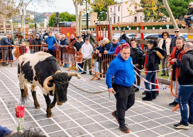 GALERIA I Las imágenes del último día de las fiestas de Benicàssim
