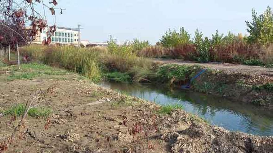 Contraste entre la zona desbrozada por el Ayuntamiento y el área pendiente de limpiar.