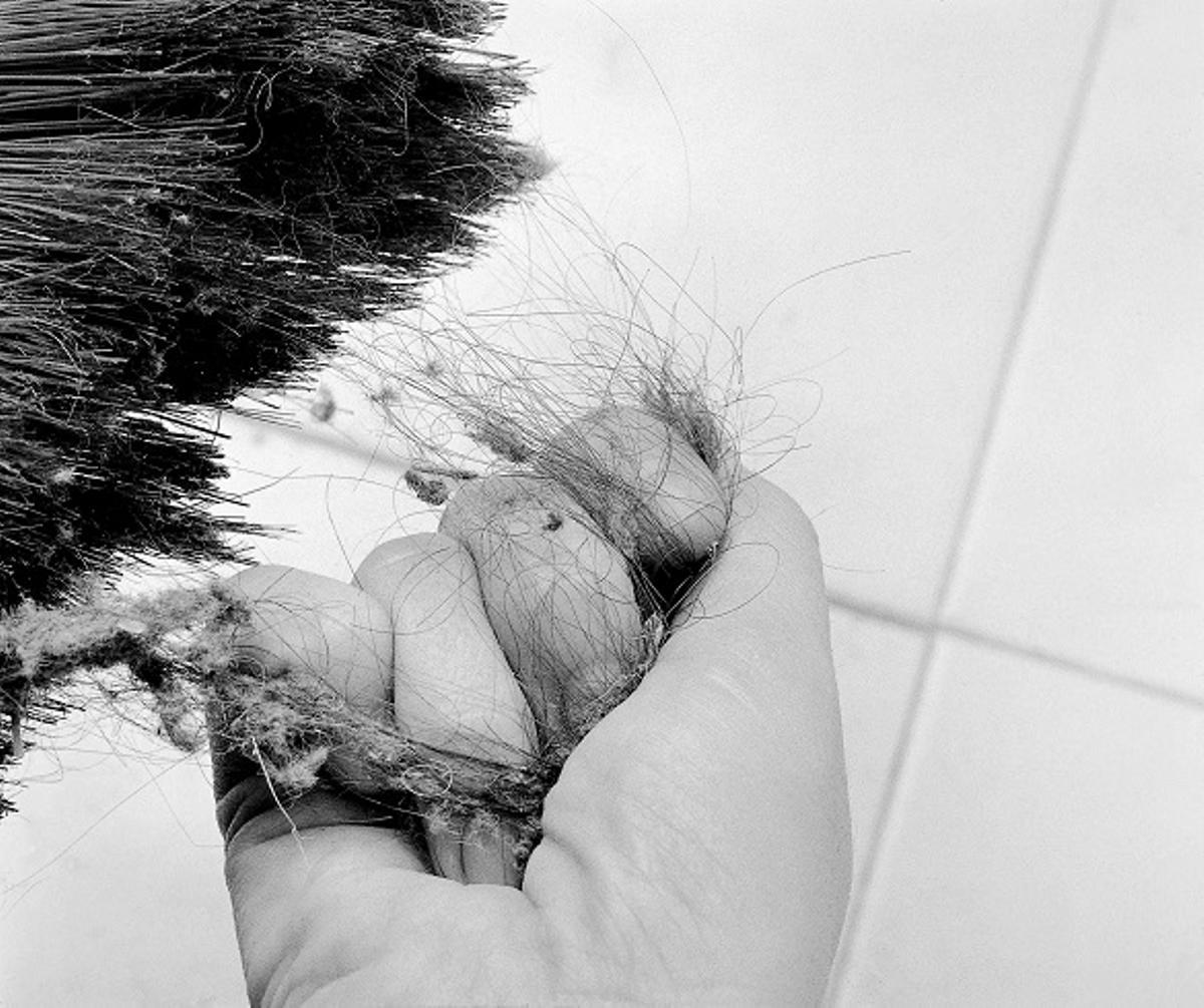 El trabajo de la zamorana Concha Prada.