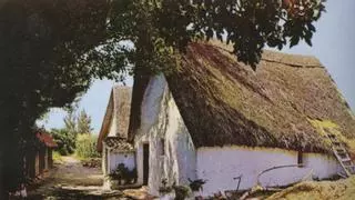 Las últimas barracas de l'Horta de València