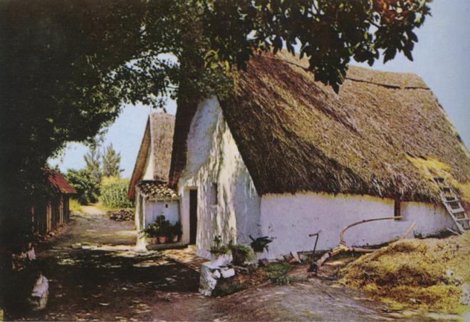 Las últimas barracas de l'Horta de València