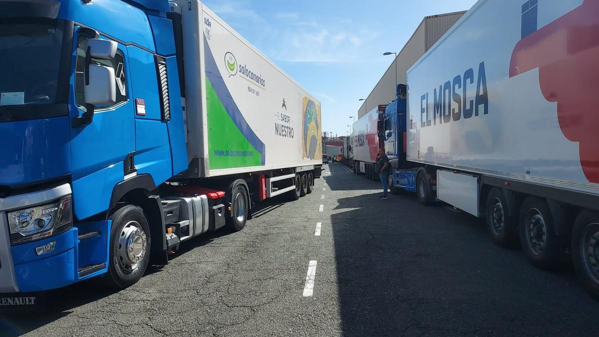 Imagen de las colas de camiones en el acceso a las instalaciones del Punto de Inspección Fronteriza en La Luz.