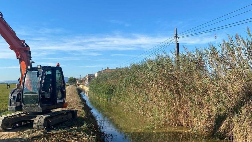 Trabajos de limpieza en el canal. | LEVANTE-EMV