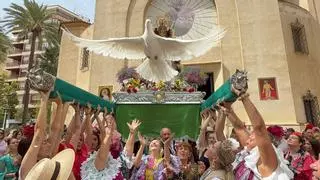 La Blanca Paloma alza el vuelo en Elche