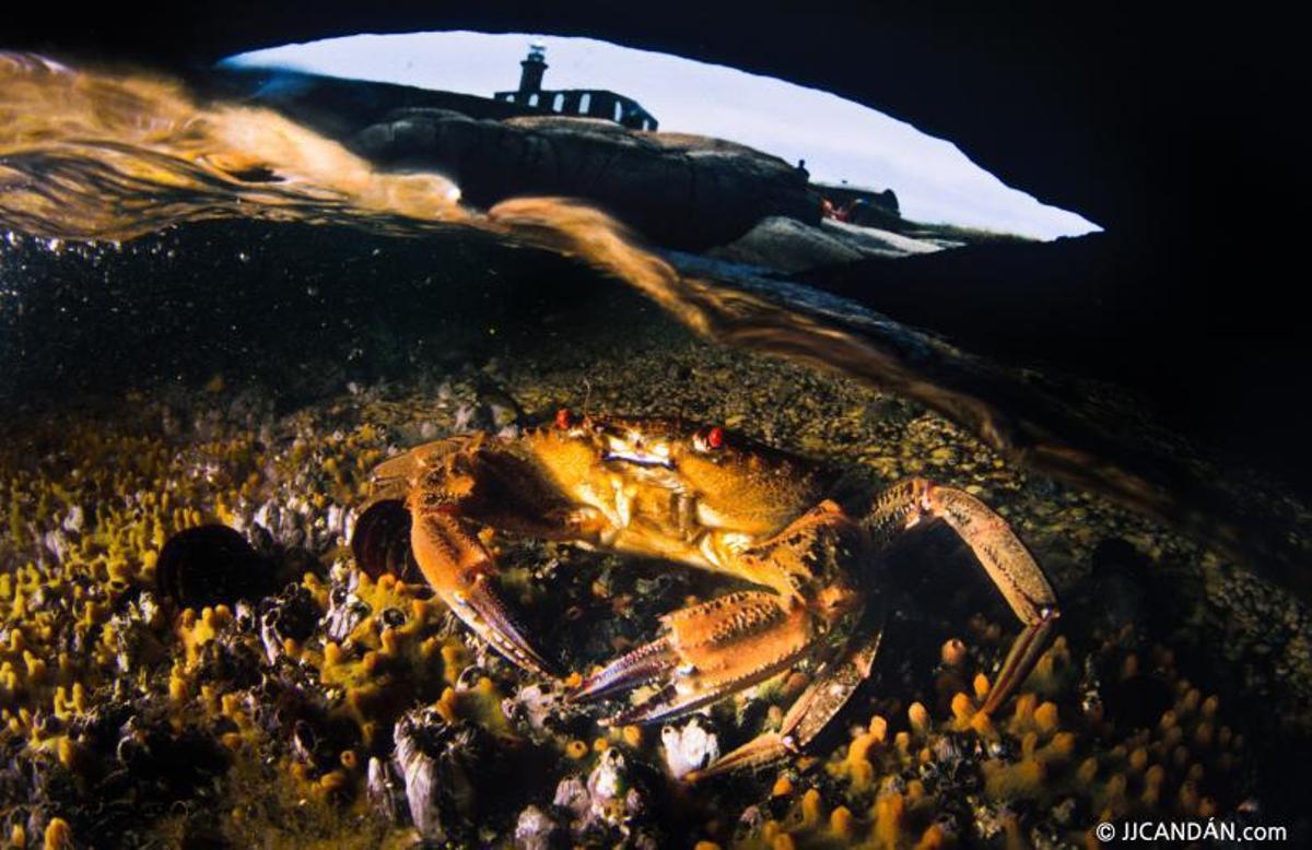 Jorge Candán y Pilar Barros, los Cousteau gallegos