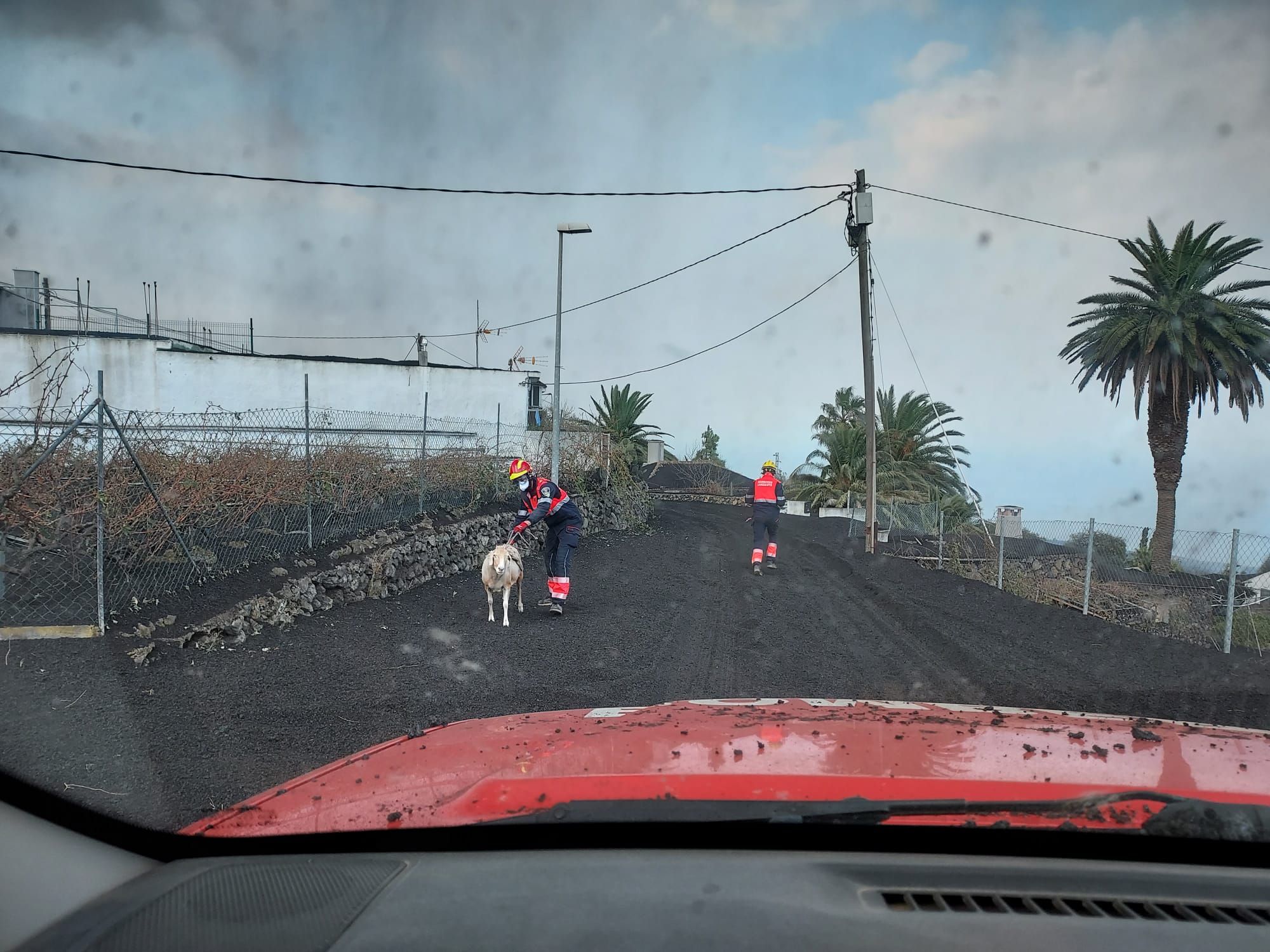 Erupción volcánica: Ayuda de los bomberos de Lanzarote en La Palma