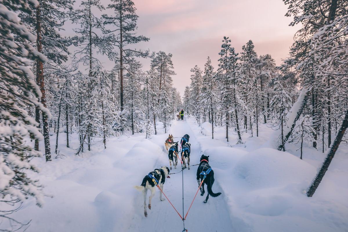 Laponia finlandesa