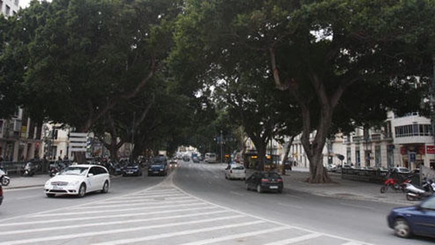 Imagen de la Alameda Principal.