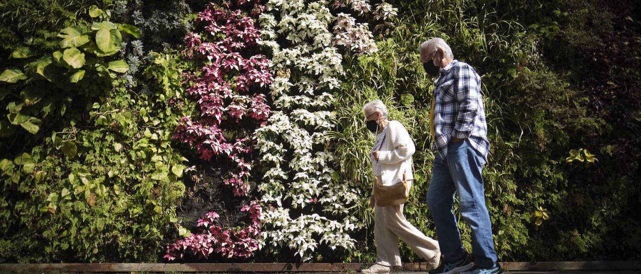 Una pareja pasea por el Parque García Sanabria.