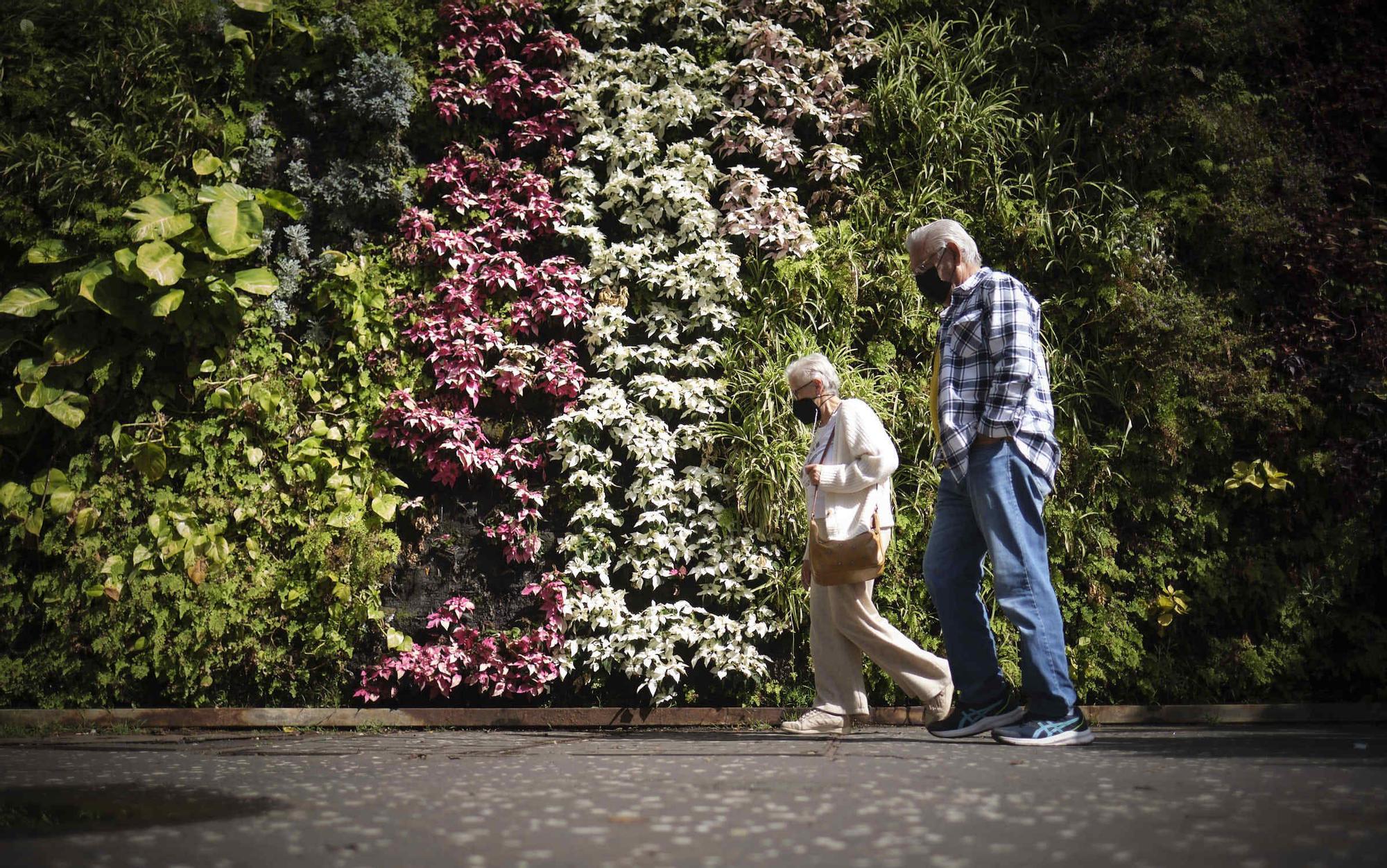 Paseo covid en Santa Cruz de Tenerife