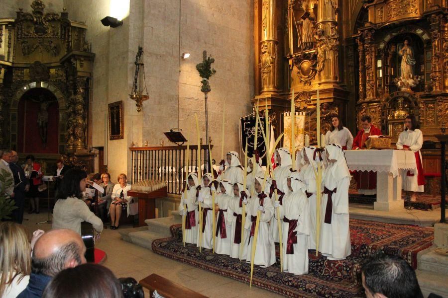 Semana Santa en Zamora: Domingo de Ramos en Fuente